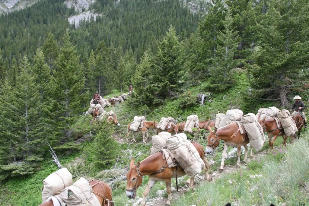 7 Lazy P - 6 Day UNGUIDED Elk/Deer Drop Camp Hunt