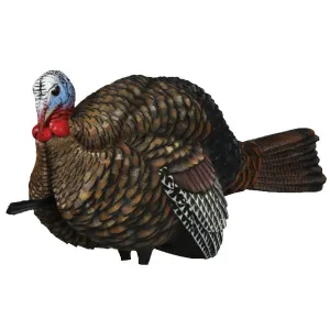 Avian X LCD 1/2 Strut Jake Turkey Decoy