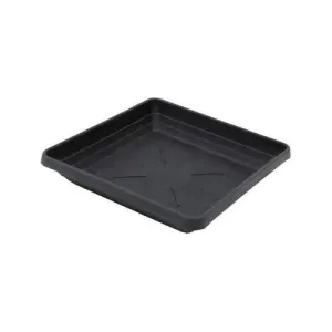 Black Tray