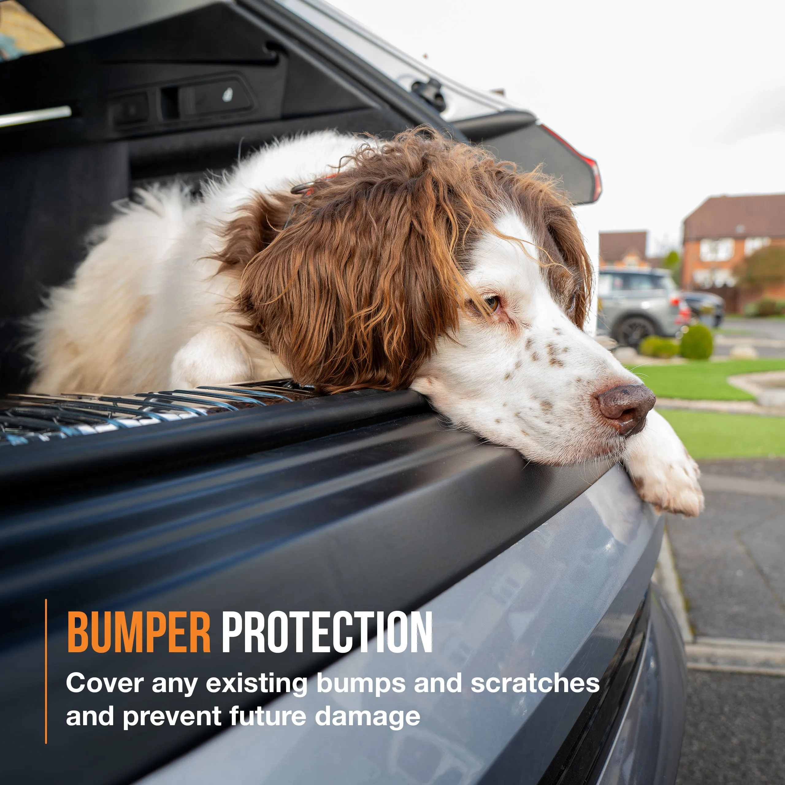 Citroen Berlingo Multispace Bumper Protector (2008-2018)
