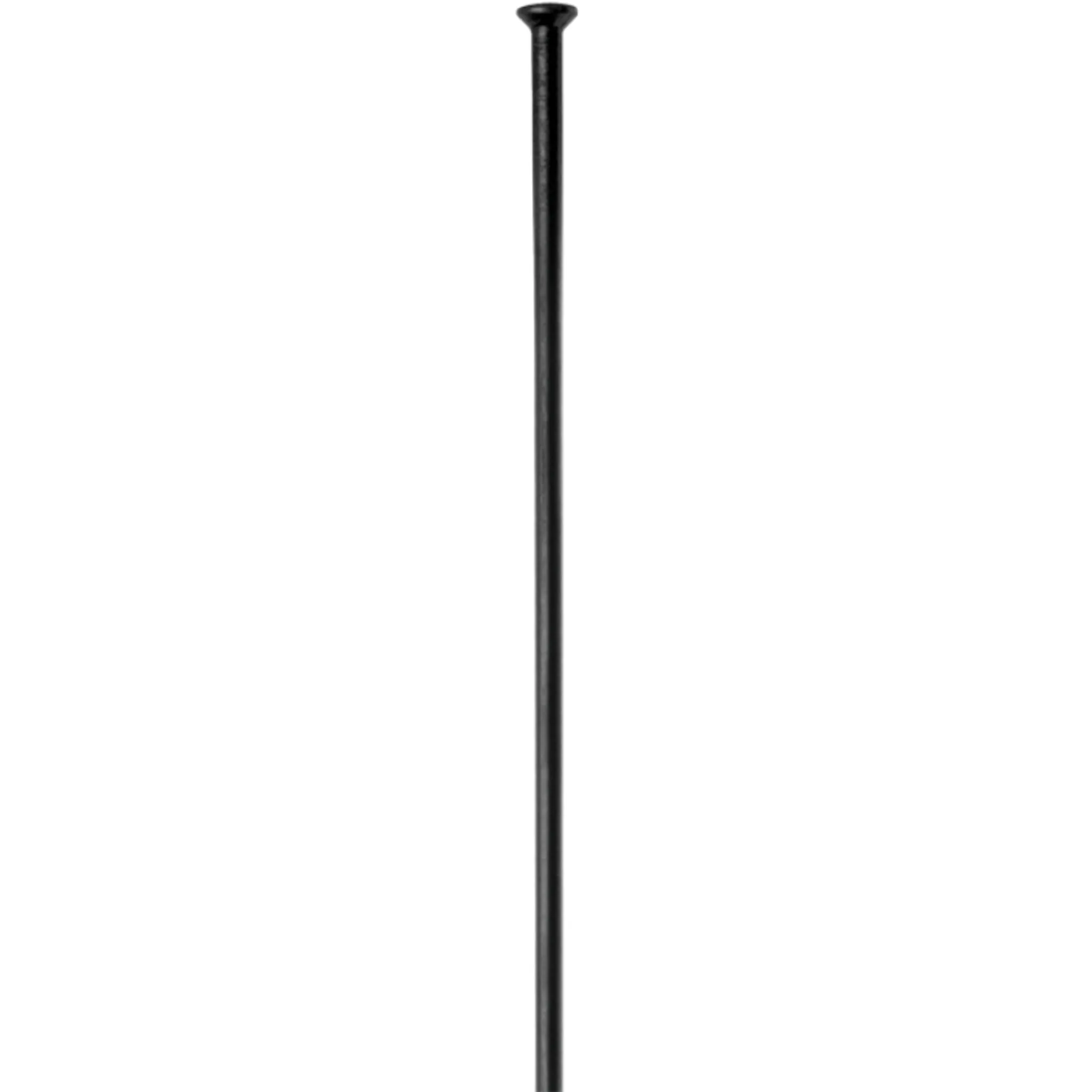 DT Swiss Champion Straight Pull Spoke 292mm 2.0mm Black