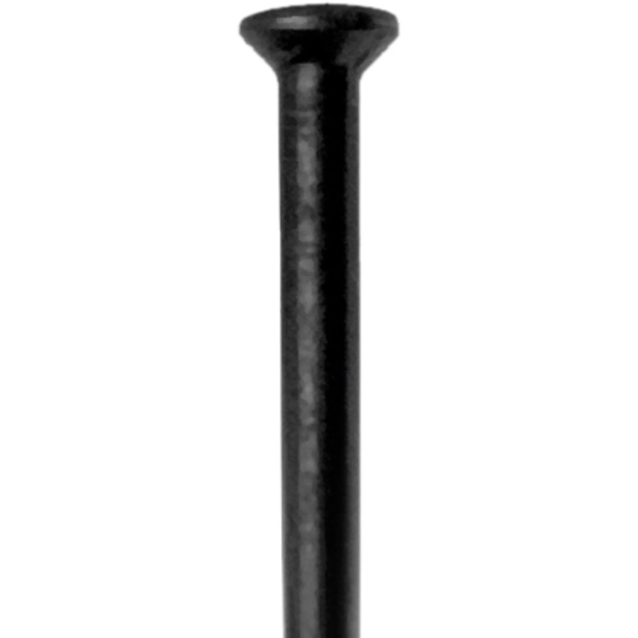 DT Swiss Champion Straight Pull Spoke 292mm 2.0mm Black