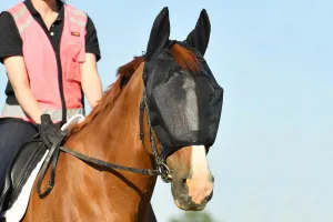 Equilibrium Net Relief Riding Mask