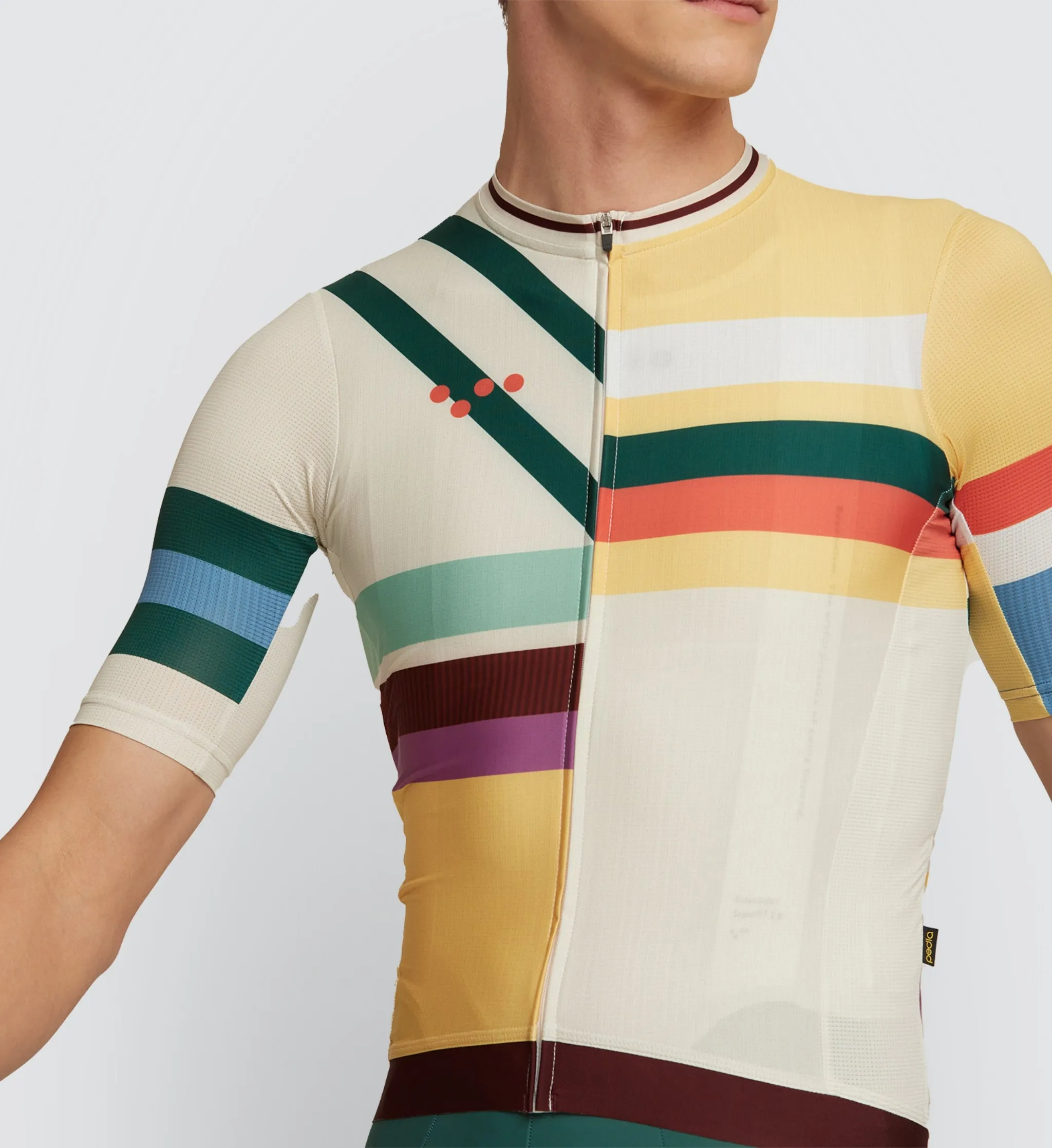 Heritage / Men's Classic Jersey - Multi Stripe