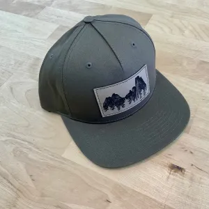 Leather Patch Spires Flat Bill Hat