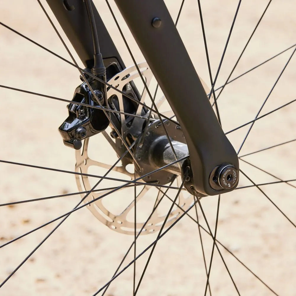 Lithic Carbon Mountain Fork