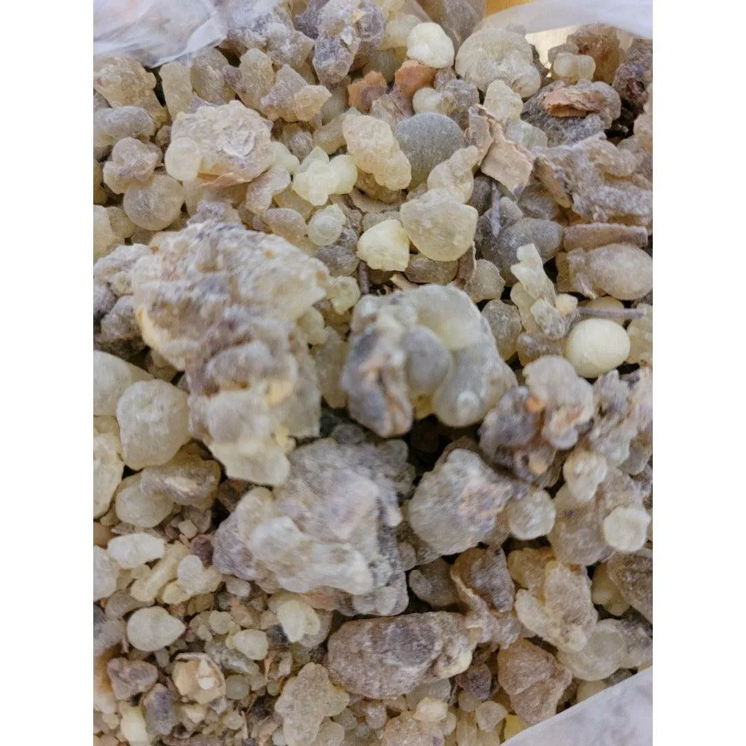luban aldakhar the male tree frankincense extreemly rare
