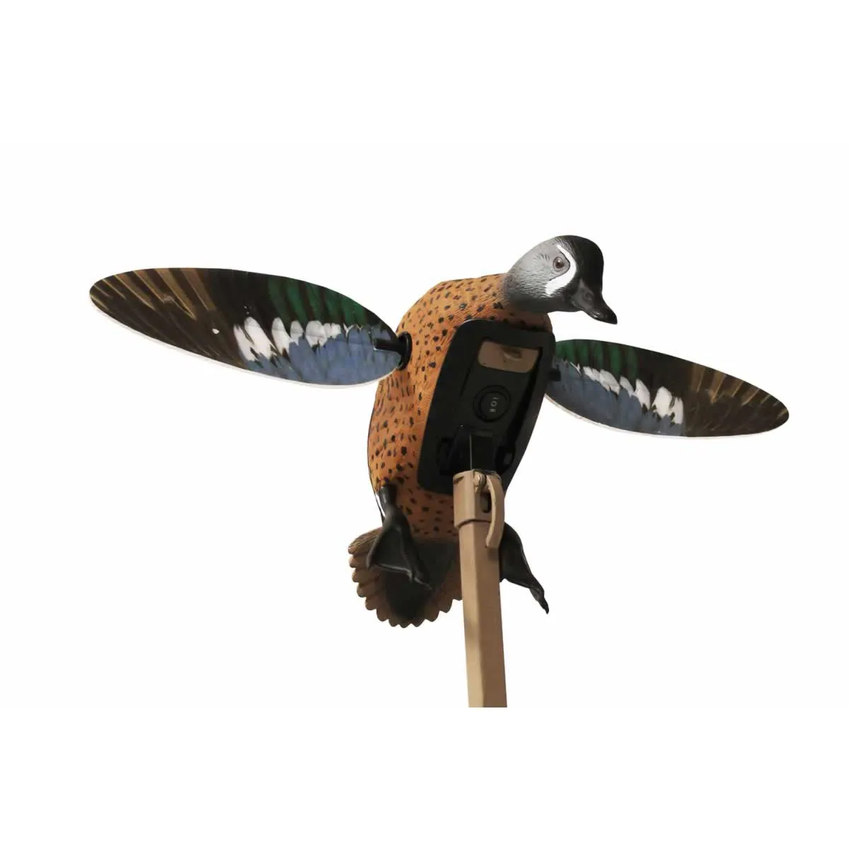 MOJO Elite Series Blue Wing Teal