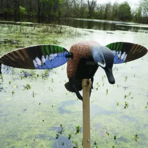 MOJO Elite Series Blue Wing Teal