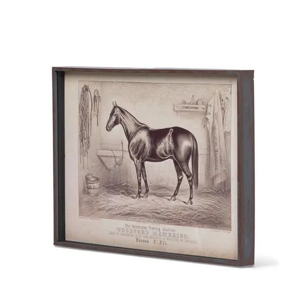 Prize Race Horse Vintage Print