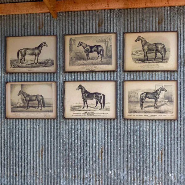 Prize Race Horse Vintage Print