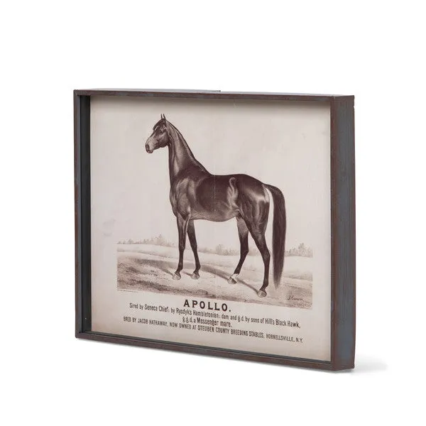 Prize Race Horse Vintage Print