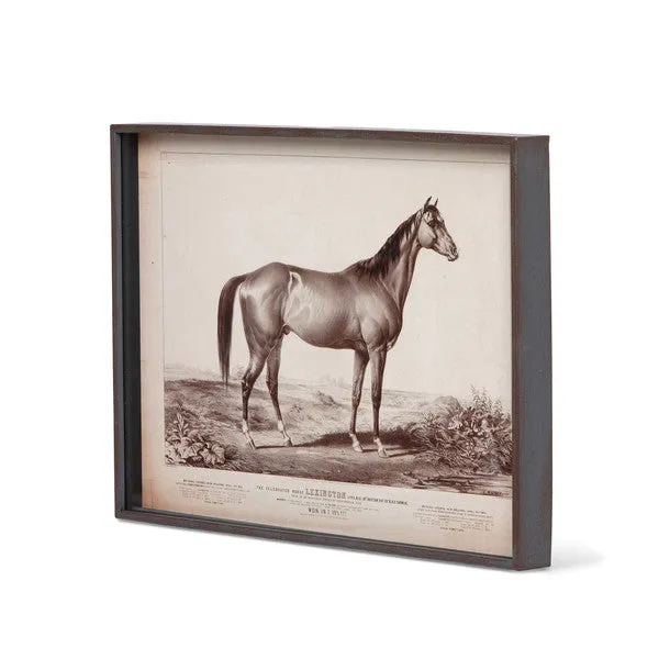 Prize Race Horse Vintage Print
