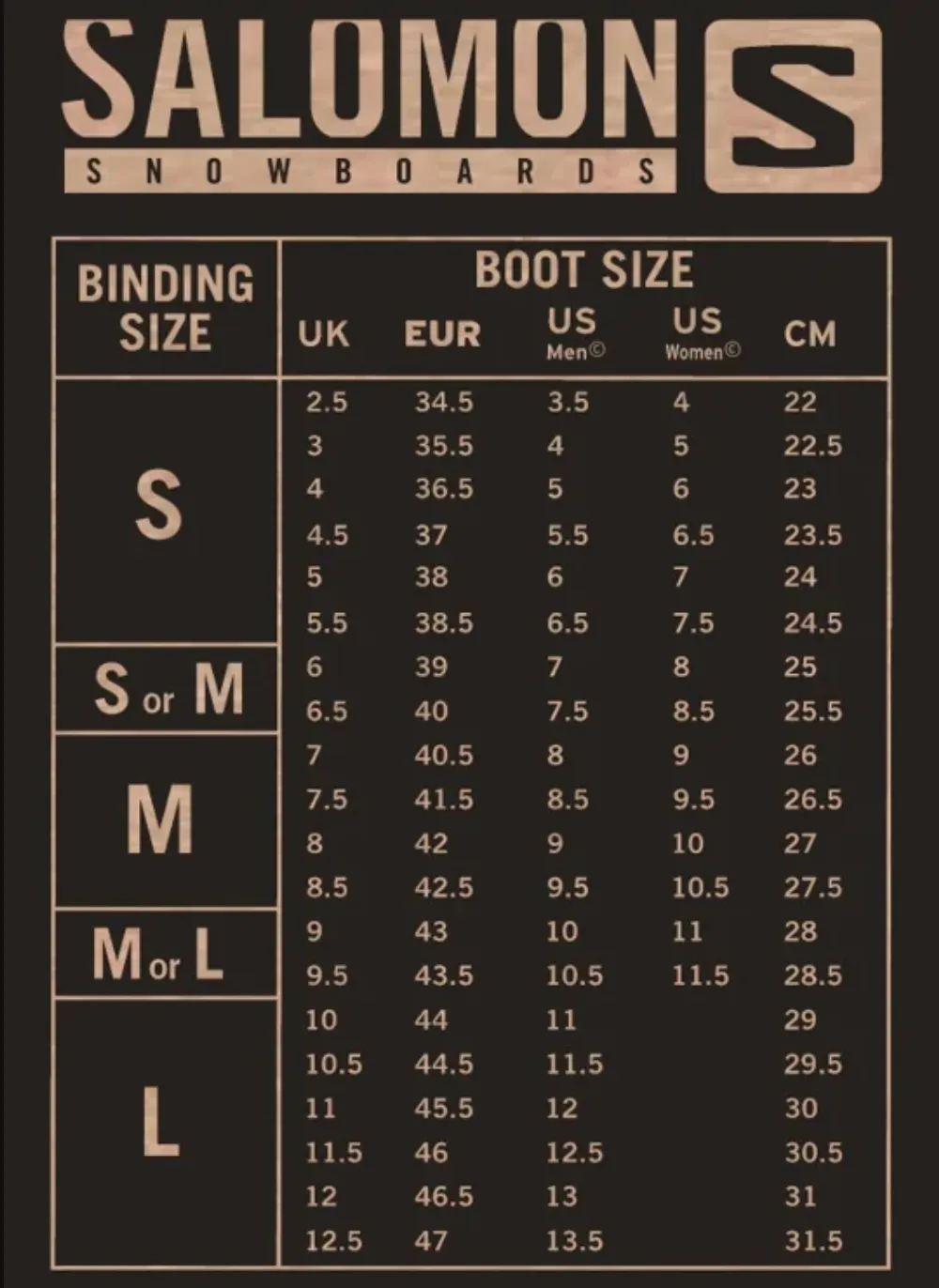 Salomon Assassin Snowboard 2025