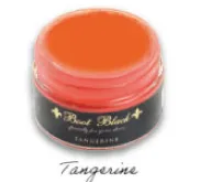 Shoe Cream - 44 Colors