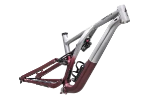 Stumpjumper EVO Alloy Frameset