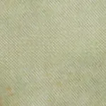Twill Trail Short