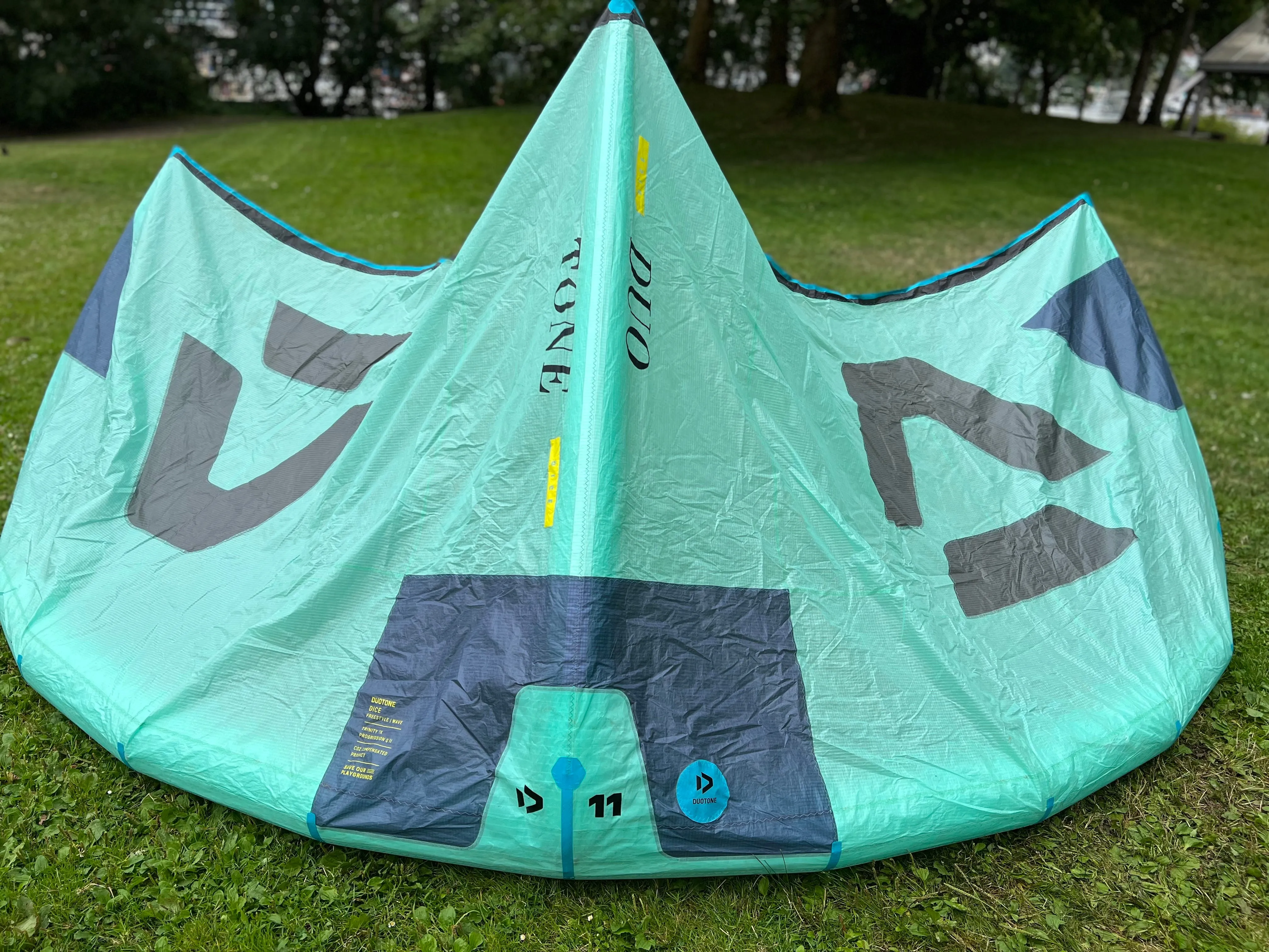 Used Dice 2021 11M - Kite Only