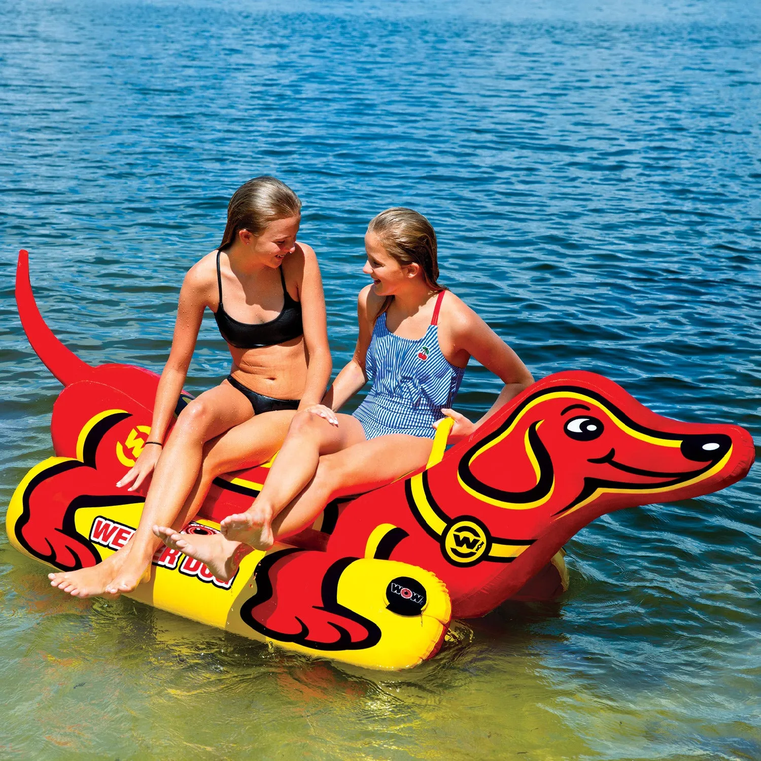 Weiner Dog 2 Person Ski Tube