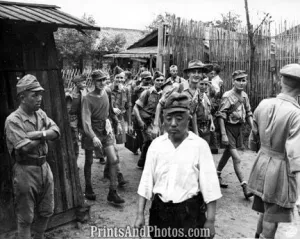 WWII British & Australian Troops  4031